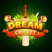 DREAM CRICTKET